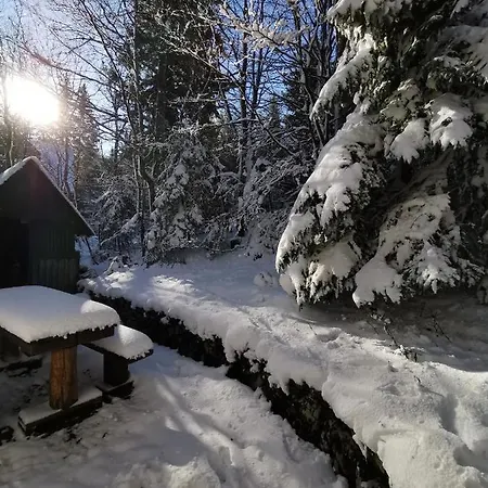 Casa de Férias Koca Kresnica *