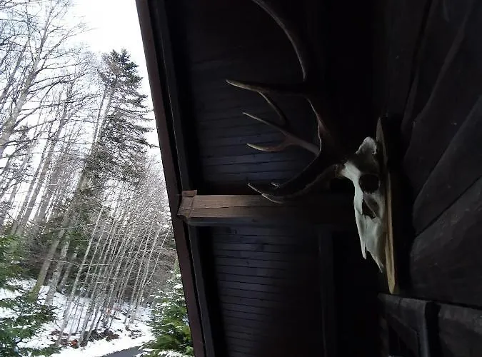 Holiday home Koca Kresnica Ilirska Bistrica