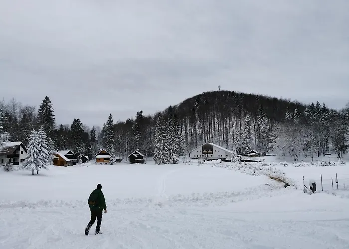 Koca Kresnica Holiday home *