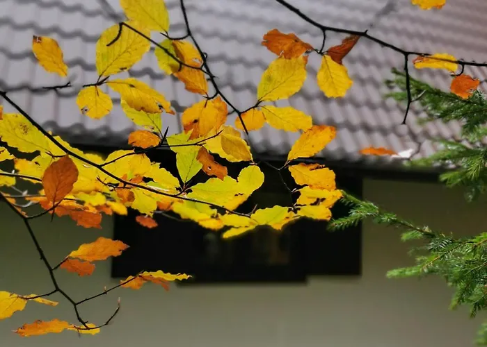 Koca Kresnica Ilirska Bistrica