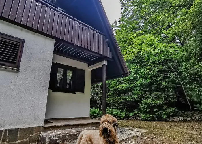 Koca Kresnica Ilirska Bistrica